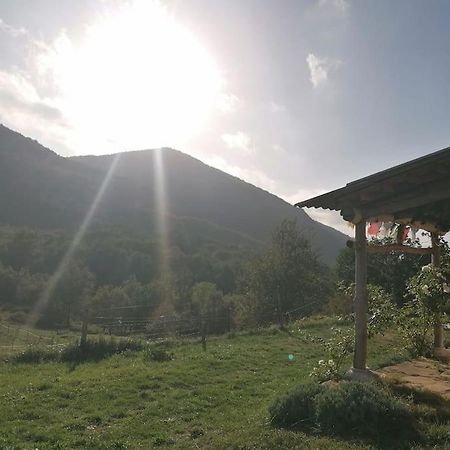 Bright Loft With Mountain And Nature View Sougraigne Buitenkant foto