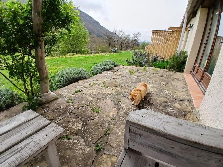 Bright Loft With Mountain And Nature View Sougraigne Buitenkant foto
