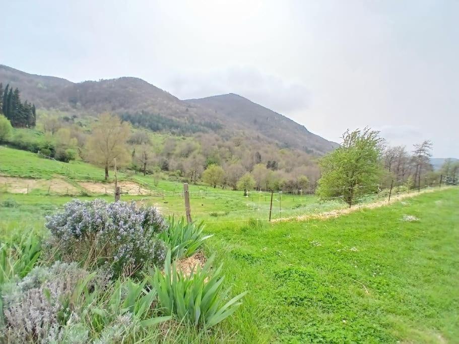 Bright Loft With Mountain And Nature View Sougraigne Buitenkant foto