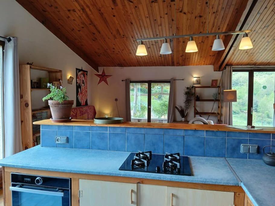 Bright Loft With Mountain And Nature View Sougraigne Buitenkant foto